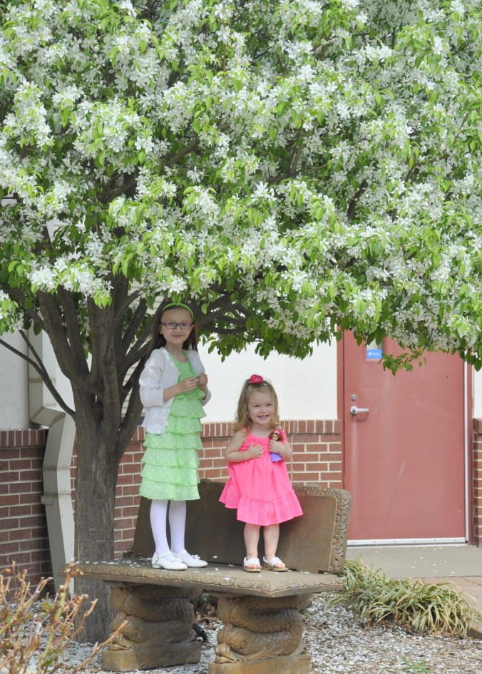 Little Lee Sweet Peas